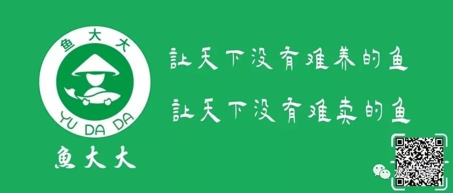 冬季黄鳝养殖技术_养殖冬季黄鳝技术要点_养殖冬季黄鳝技术要求