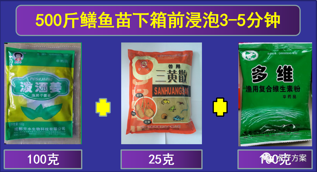 冬季黄鳝养殖技术_养殖冬季黄鳝技术要求_养殖冬季黄鳝技术要点