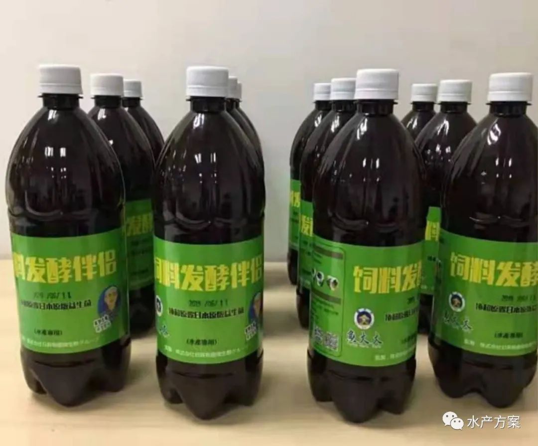 养殖冬季黄鳝技术要点_养殖冬季黄鳝技术要求_冬季黄鳝养殖技术