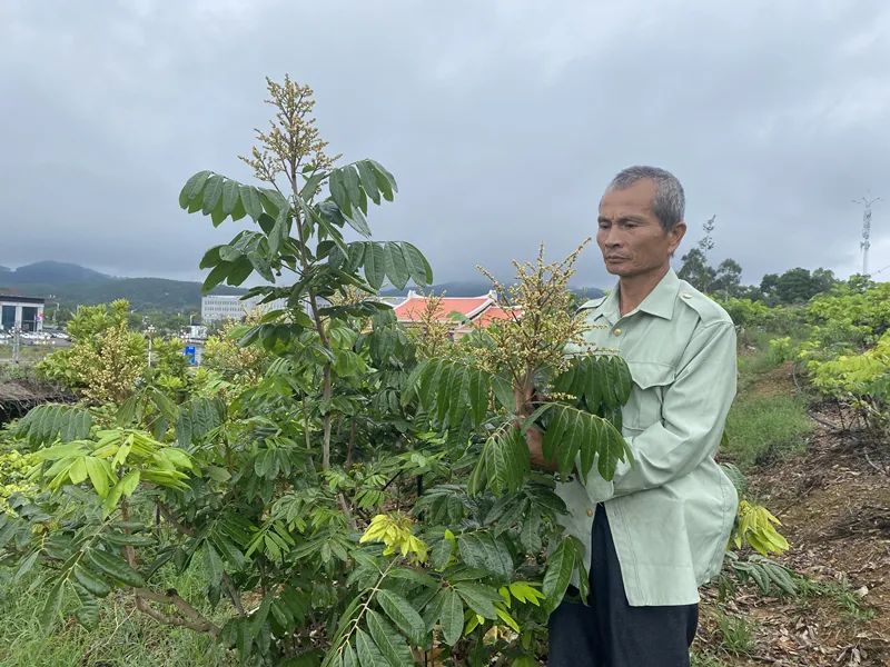 农村种植致富案例_种植致富典型案例_种植致富经