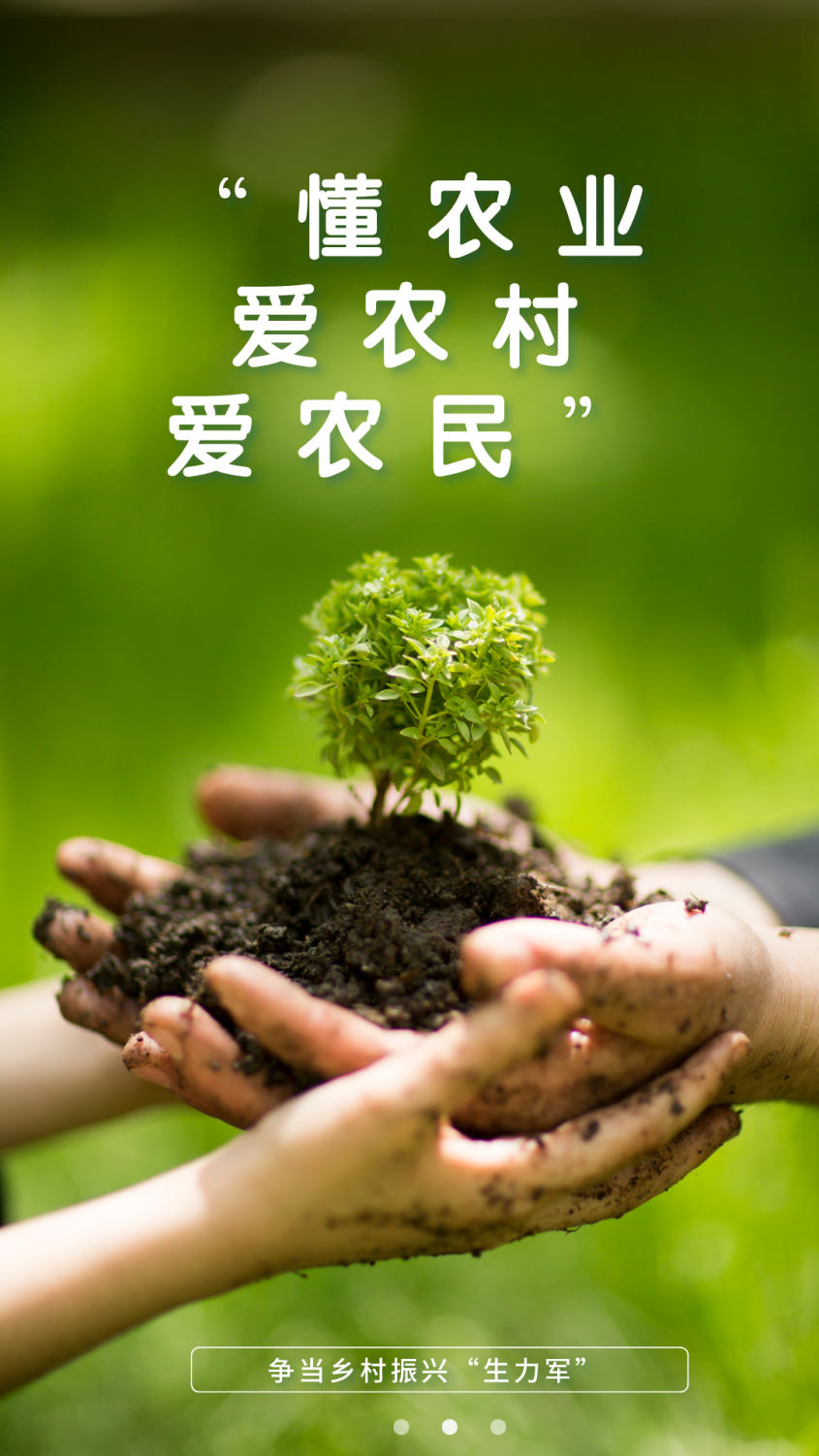 种植致富经_致富案例网_种植致富典型案例
