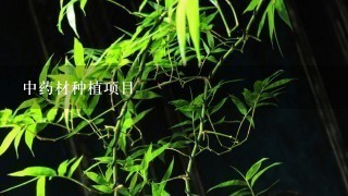 中药材种植项目