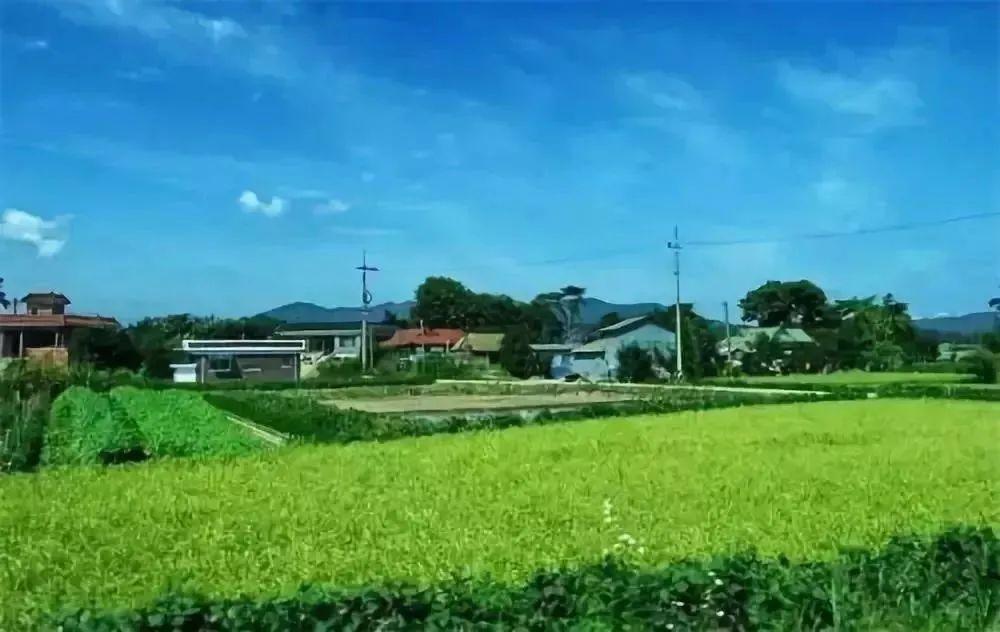 优秀村庄规划案例_借鉴优质村庄规划经验材料_村庄规划经验做法