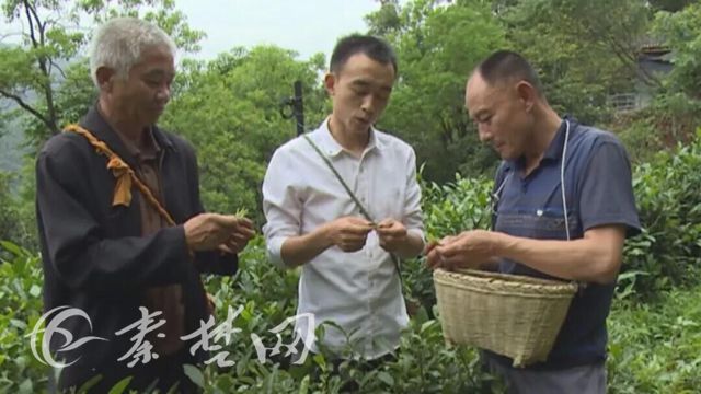 脱贫致富经 | 太子坡村薛松：创办家庭农场 带动村民脱贫