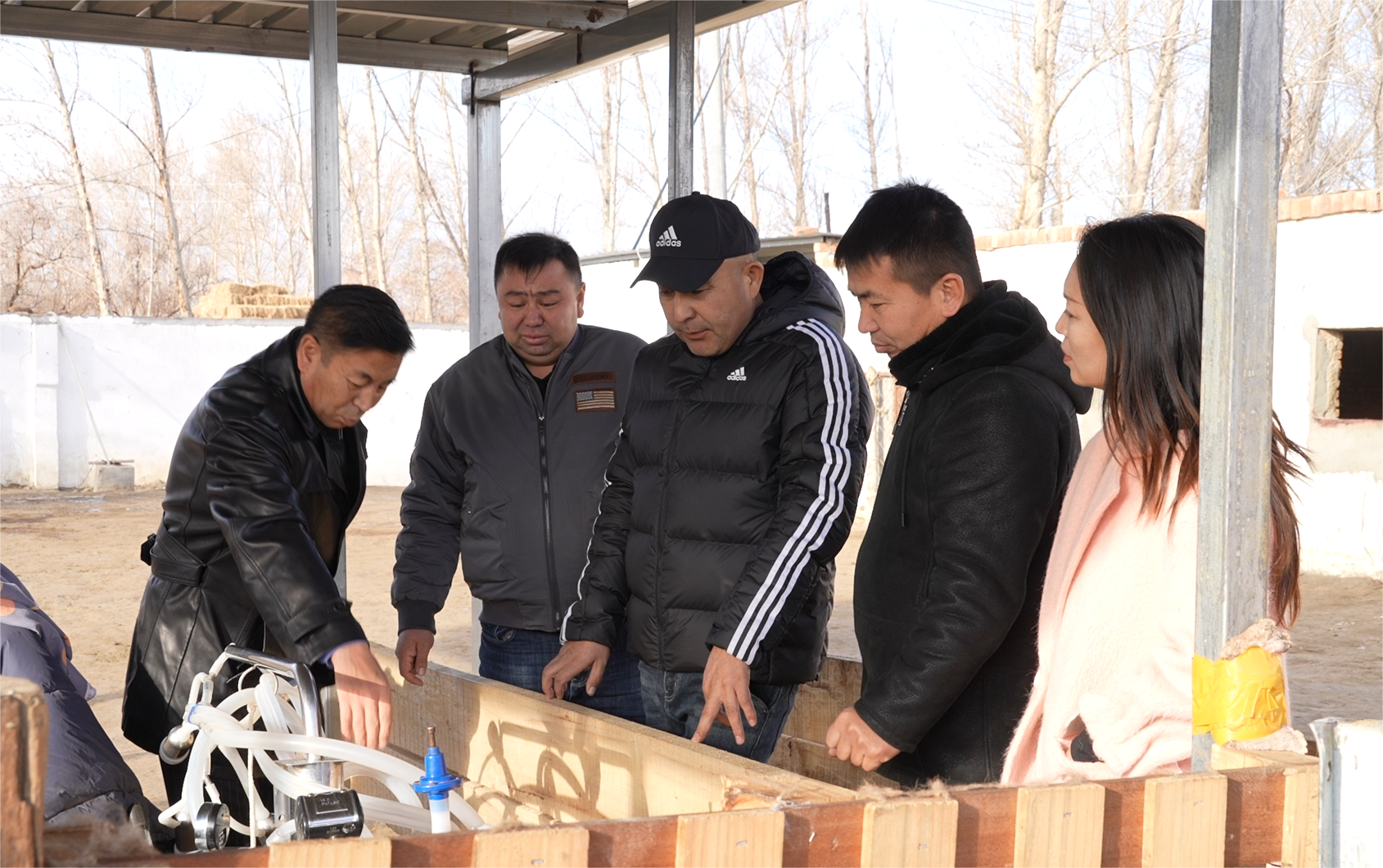 Image_1702177250331