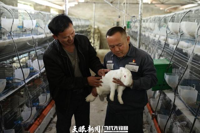 剑河：第一书记做实事 养好“扶贫兔” 奔上致富路