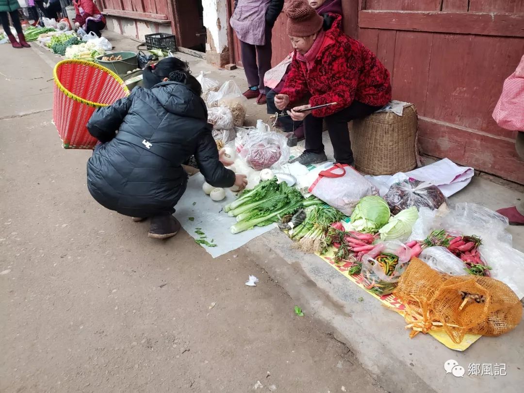 致富种植姜花怎么样_致富种植姜花视频_姜花种植致富