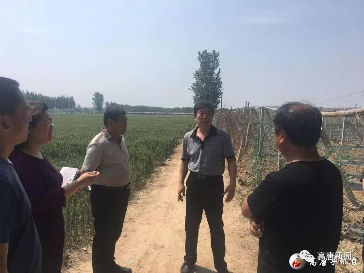 致富经种菜牛人_老农民种植致富_种地致富小农民