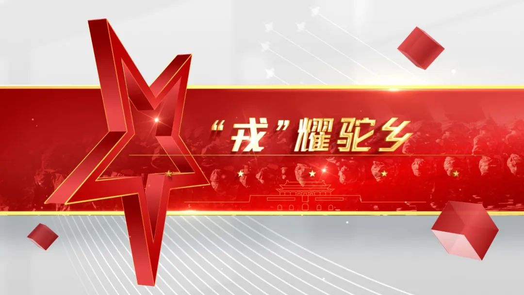 牧草养殖致富项目_致富经牧草养猪_致富养殖牧草项目招标
