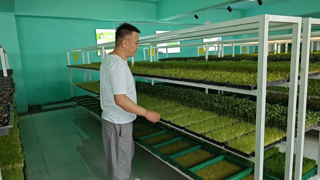 牧草养殖致富项目_致富经牧草养猪_致富养殖牧草项目招标