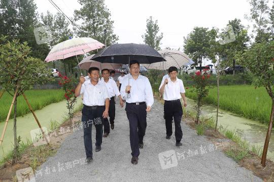 雨中察脱贫，养过蚕的谢伏瞻为光山稻农“引来”什么致富经？