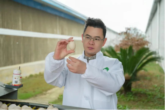 蛋鸡孵出致富路 勤劳奋斗写人生 ——乐平市石沫湖家禽养殖专业合作社黄平