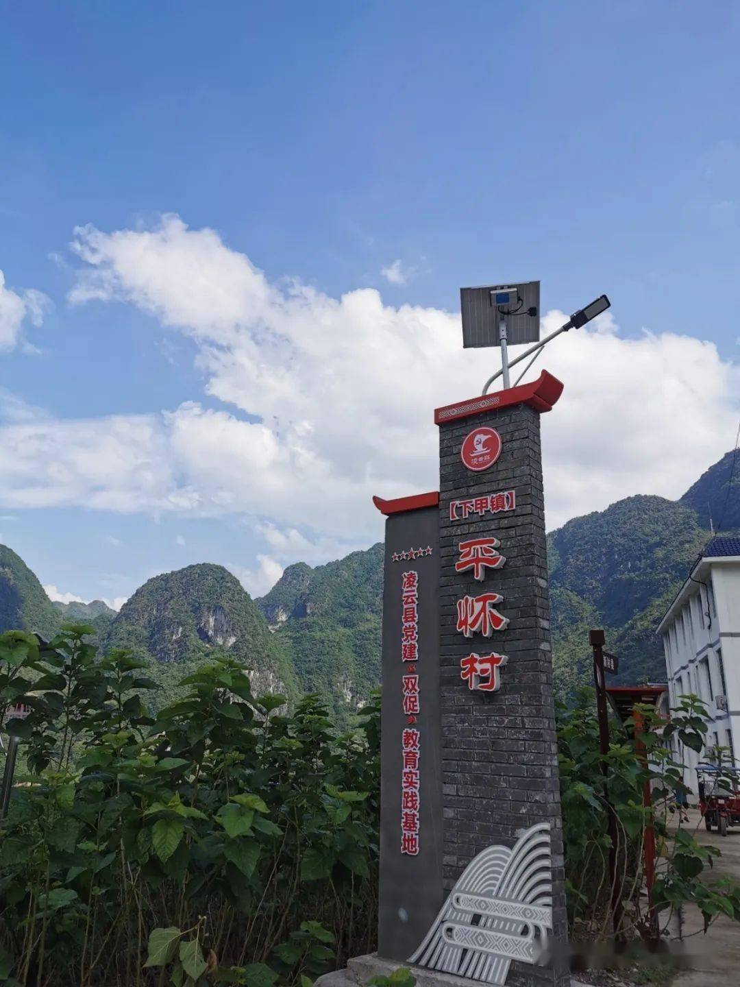 致富桑养蚕种子图片_种桑养蚕的优势条件_致富经种桑 养蚕