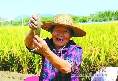 [梅州]梅县区因地制宜，探索“一地多用、一地多产”脱贫模式