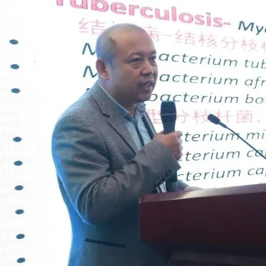 视频鸽子养殖技术下载大全_鸽子养殖视频大全_鸽子养殖技术视频下