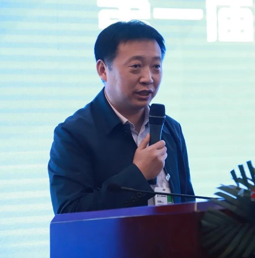 鸽子养殖技术视频下_视频鸽子养殖技术下载大全_鸽子养殖视频大全