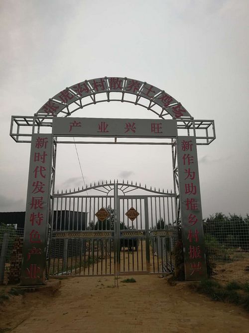 陕北榆阳麻黄梁镇：打实乡村振兴“厚底子” 拓宽脱贫致富“新路子”