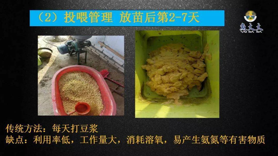 湖北黄颡鱼苗_黄花的养殖方法和注意事项_黄颡鱼鱼花养殖技术