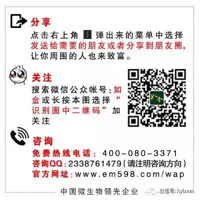 冬季黄瓜苗定植与管理_黄瓜冬季种植技术视频_冬天黄瓜种植技术视频