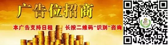 2017年养殖土鸡能赚钱吗?