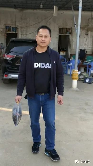 青斑鱼养殖温度和盐度_青斑鱼苗价格_青斑鱼苗养殖技术