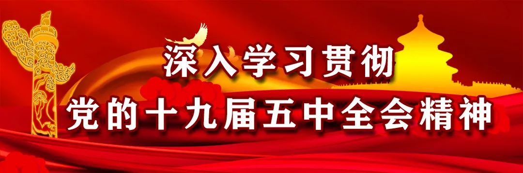 农业节目致富经种植视频_种植致富视频采访_农民采访种植问题