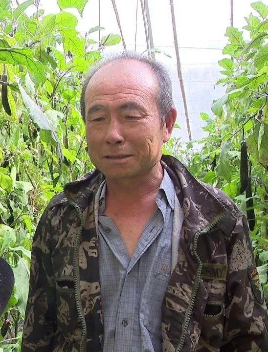 甘肃省白银市农作物种植情况_甘肃白银农作物_白银种植致富