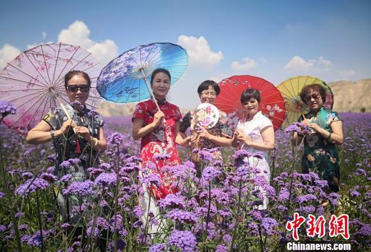 白银种植致富_甘肃省白银市农作物种植情况_甘肃白银农场包地适合种植啥