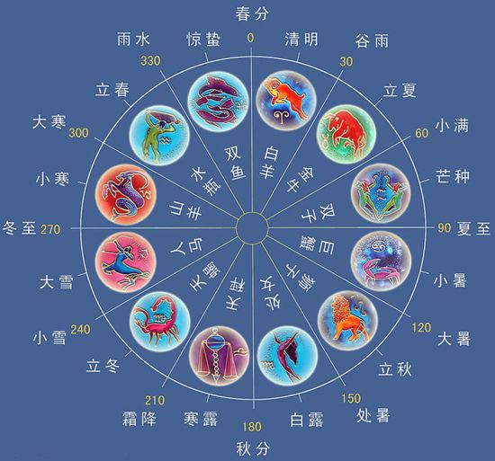 羊角葱能移栽吗_羊角葱栽培视频_羊角葱种植致富
