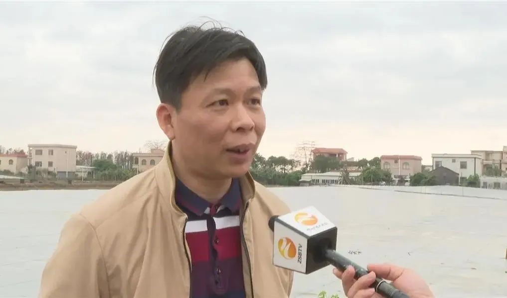 罗非鱼塘养殖技术_罗非鱼池塘养殖技术_鱼塘养殖罗非鱼