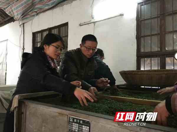 图片6_副本.jpg