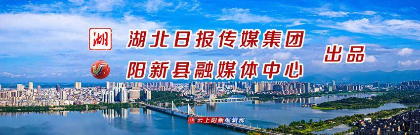 哈密瓜的种植方法和时间_哈密瓜种植时间和方法视频_夏季哈密瓜种植技术
