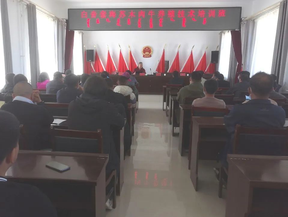 肉牛养殖技术培训 助农提升致富动力