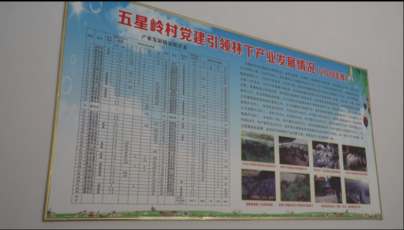 养殖黑山羊技术视频_山羊养殖技术视频播放_养殖山羊视频播放