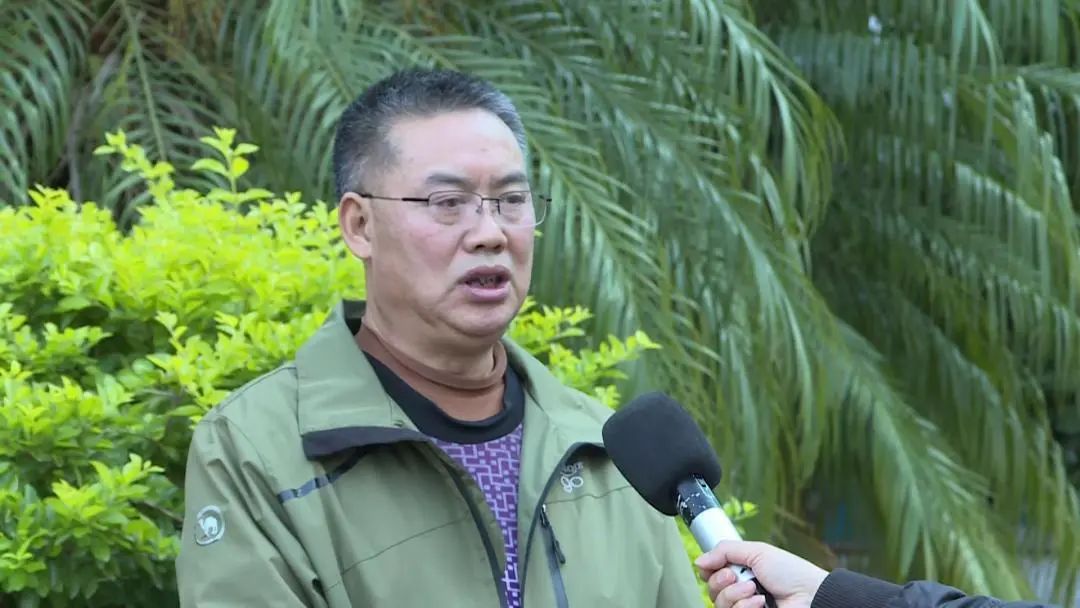 豌豆种植致富_致富豌豆种植视频_致富豌豆种植技术视频