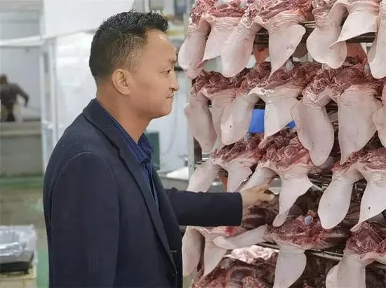 宁夏养猪_宁夏致富中卫养猪人员名单_致富经宁夏中卫养猪人