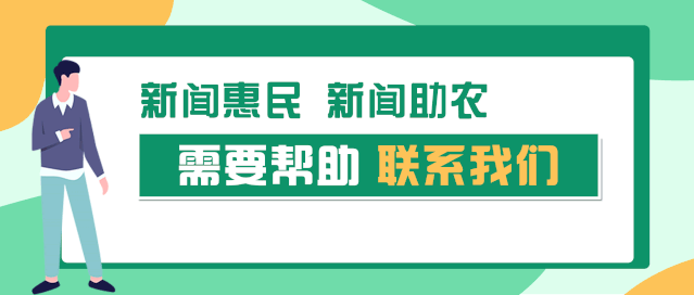 致富豌豆种植视频_豌豆种植致富_豌豆种植效益