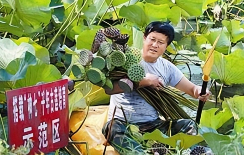 田鼠养殖视频致富经_田鼠种植致富吗_田鼠养殖致富