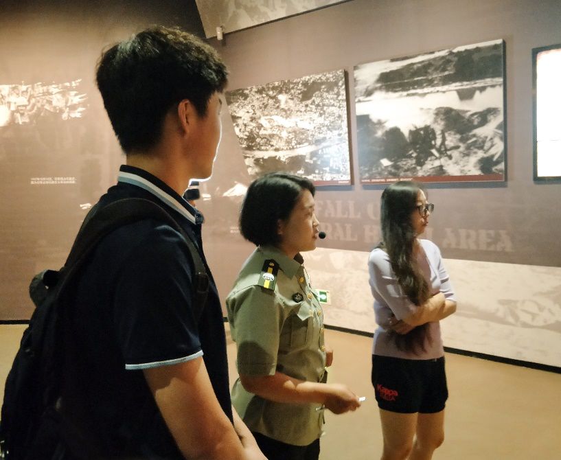 紫苏种植致富故事_种植紫苏赚钱吗_致富种植紫苏故事简介