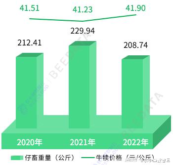马蜂养殖成本与效益_马蜂养殖户_马蜂养殖技术及成本