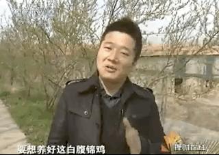 致富养殖蜈蚣赚钱吗_致富经养殖蜈蚣_蜈蚣养殖致富经