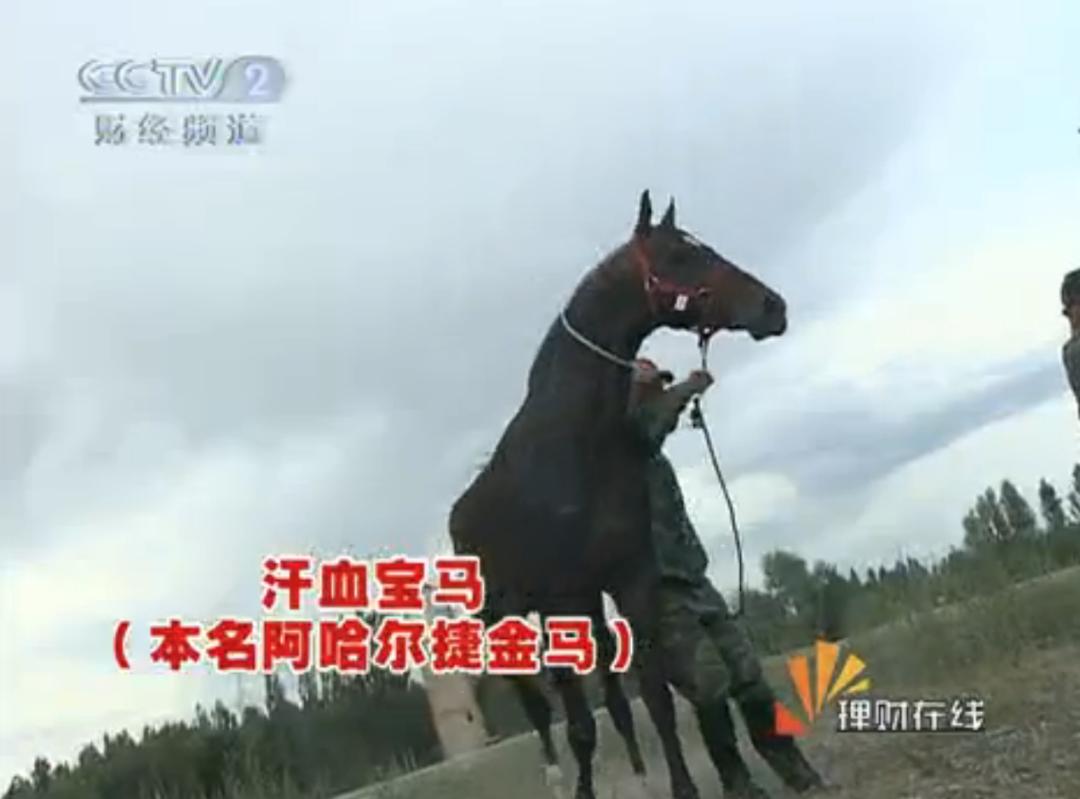 致富养殖蜈蚣赚钱吗_蜈蚣养殖致富经_致富经养殖蜈蚣