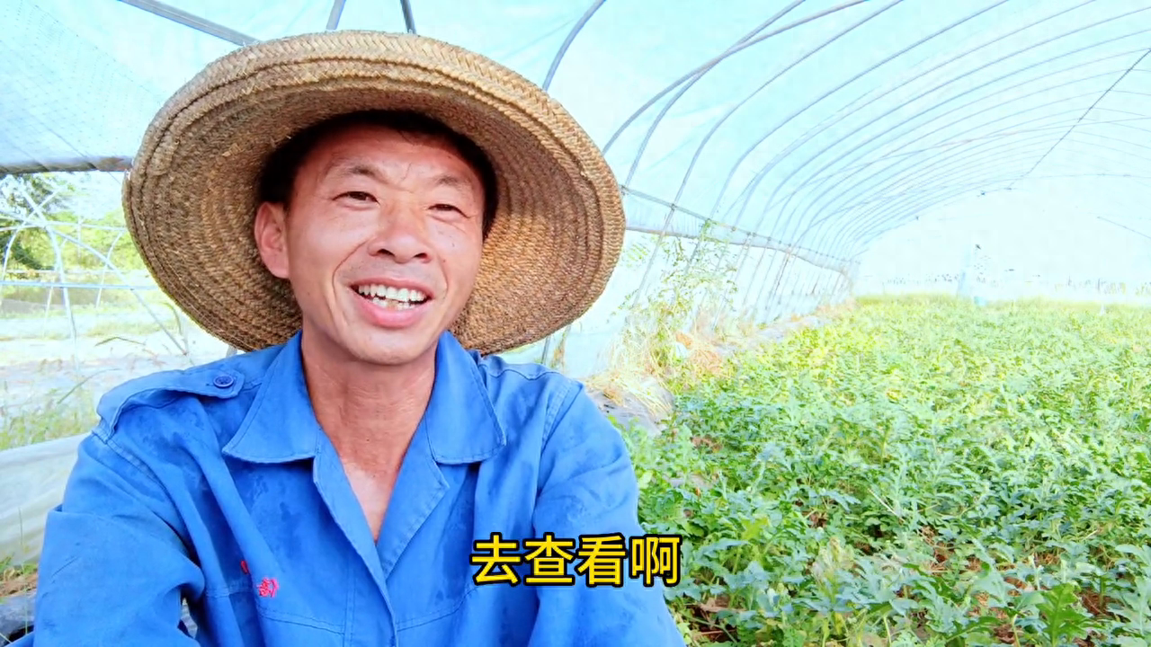 肖夏萌熊爸爸草莓西瓜