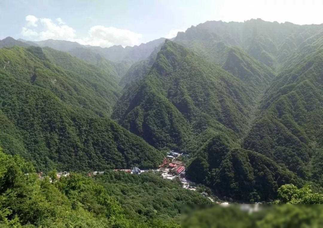 山区养殖致富项目_山区养殖业什么最赚钱农村_山区养殖什么致富项目