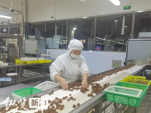栗子种植技术与管理_栗子种植技术_栗子种植方法