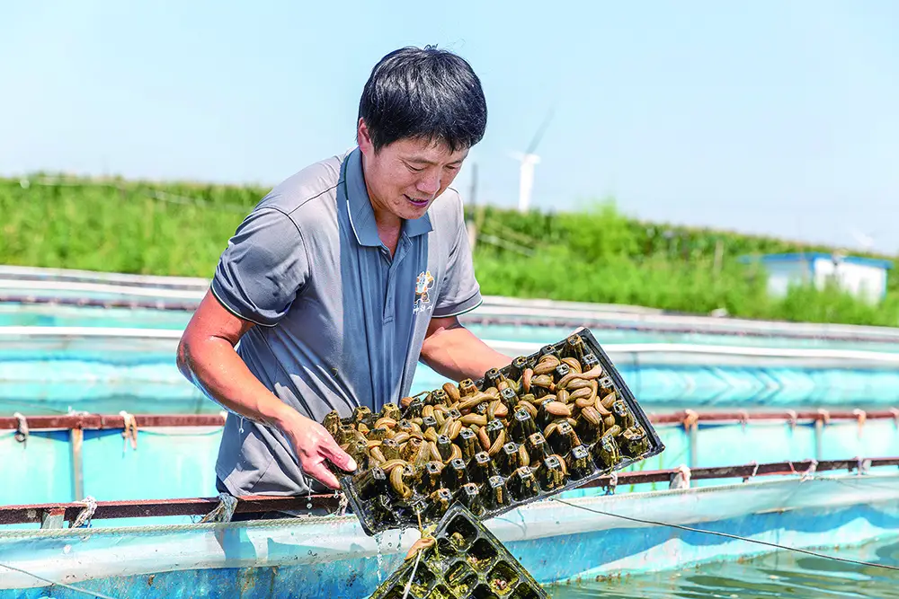 养殖致富的原因_致富养殖好项目大全_养殖致富经