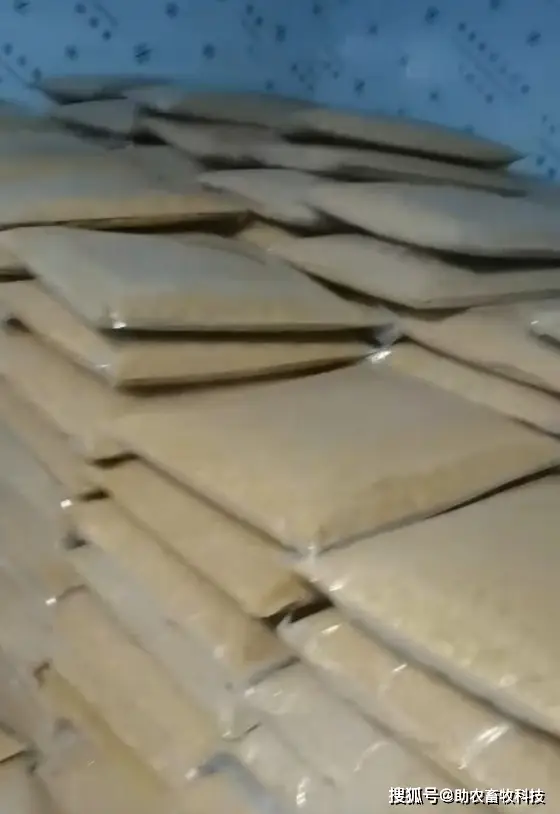 致富经高小叶养蛆_致富经养蛆_致富小叶养蛆高清图片