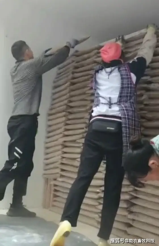 致富经高小叶养蛆_致富经养蛆_致富小叶养蛆高清图片