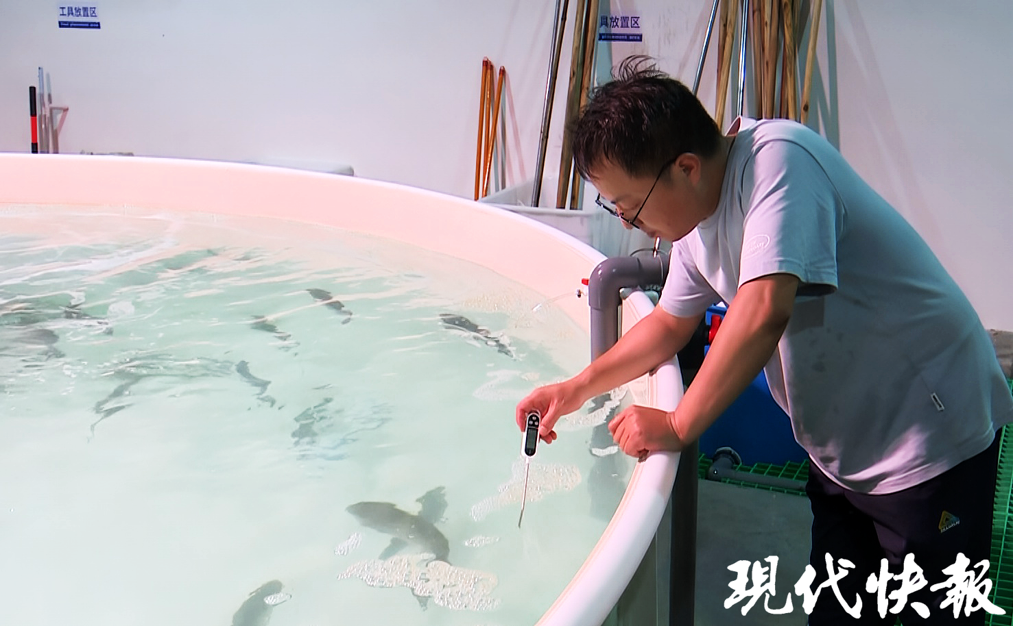 鱼养殖技术视频教程_鱼养殖技术员_养殖鱼的基本知识