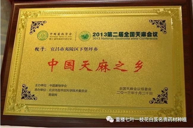 致富经怎样让土豆高产_致富经土豆种植视频_土豆高产技术